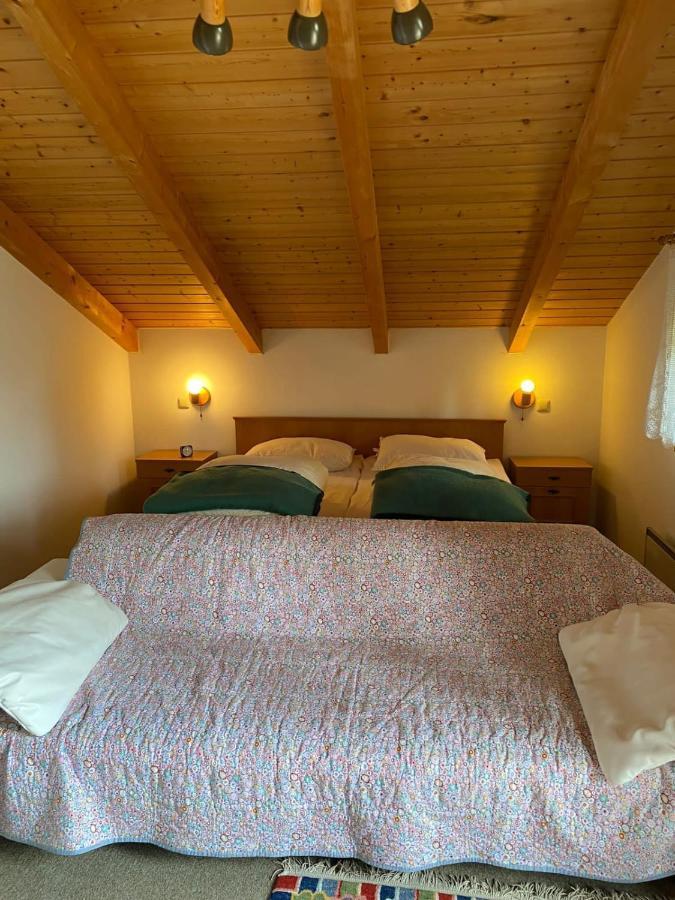 Ferienhaus Im Waldferiendorf Regen Zewnętrze zdjęcie